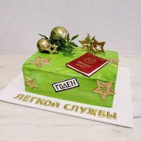 Торт на проводы в армию №154802