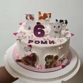 Торт с кошками №127031