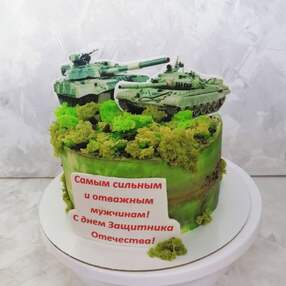 Торт на 23 февраля №103424